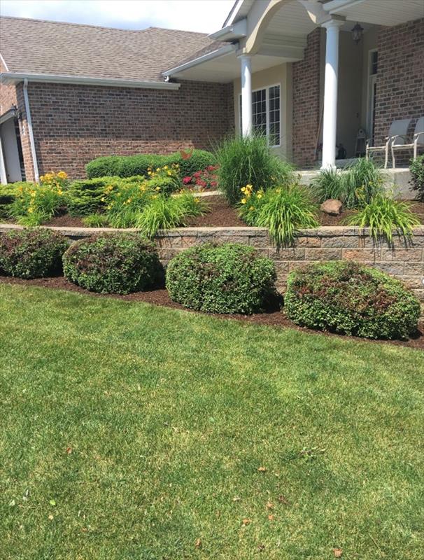 Jose's Lawncare & Landscape Services - Rockford, IL